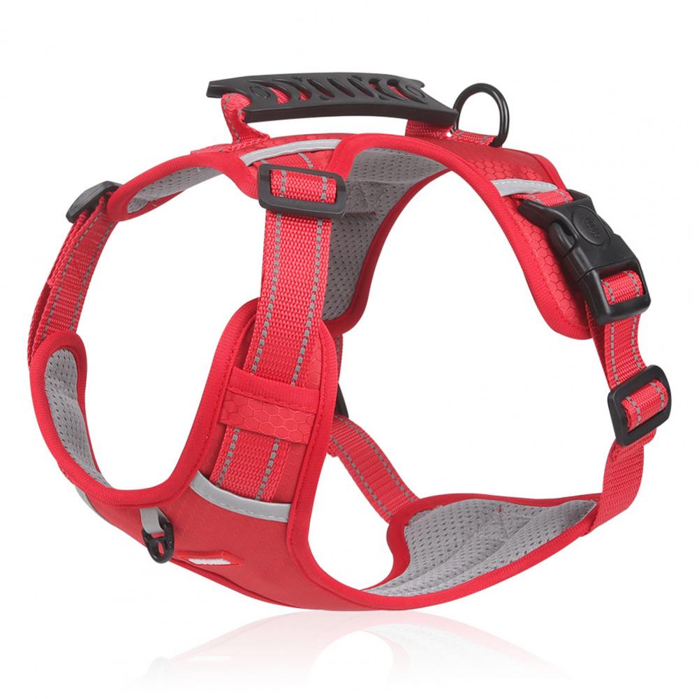 Easy Walk Harness – No Pull, More Control, Less Stress