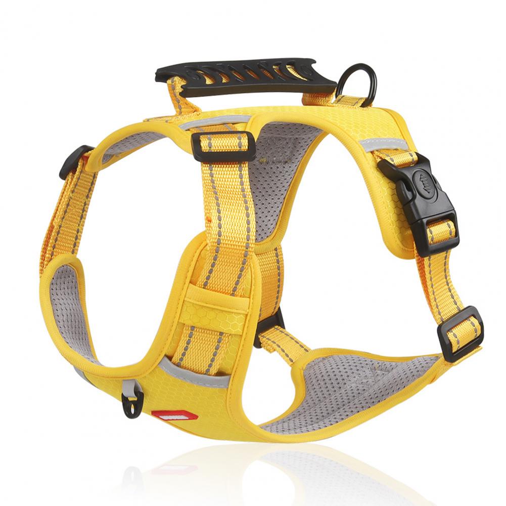 Easy Walk Harness – No Pull, More Control, Less Stress