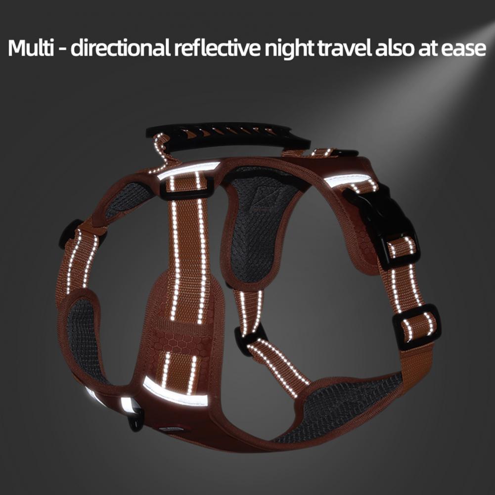 Easy Walk Harness – No Pull, More Control, Less Stress