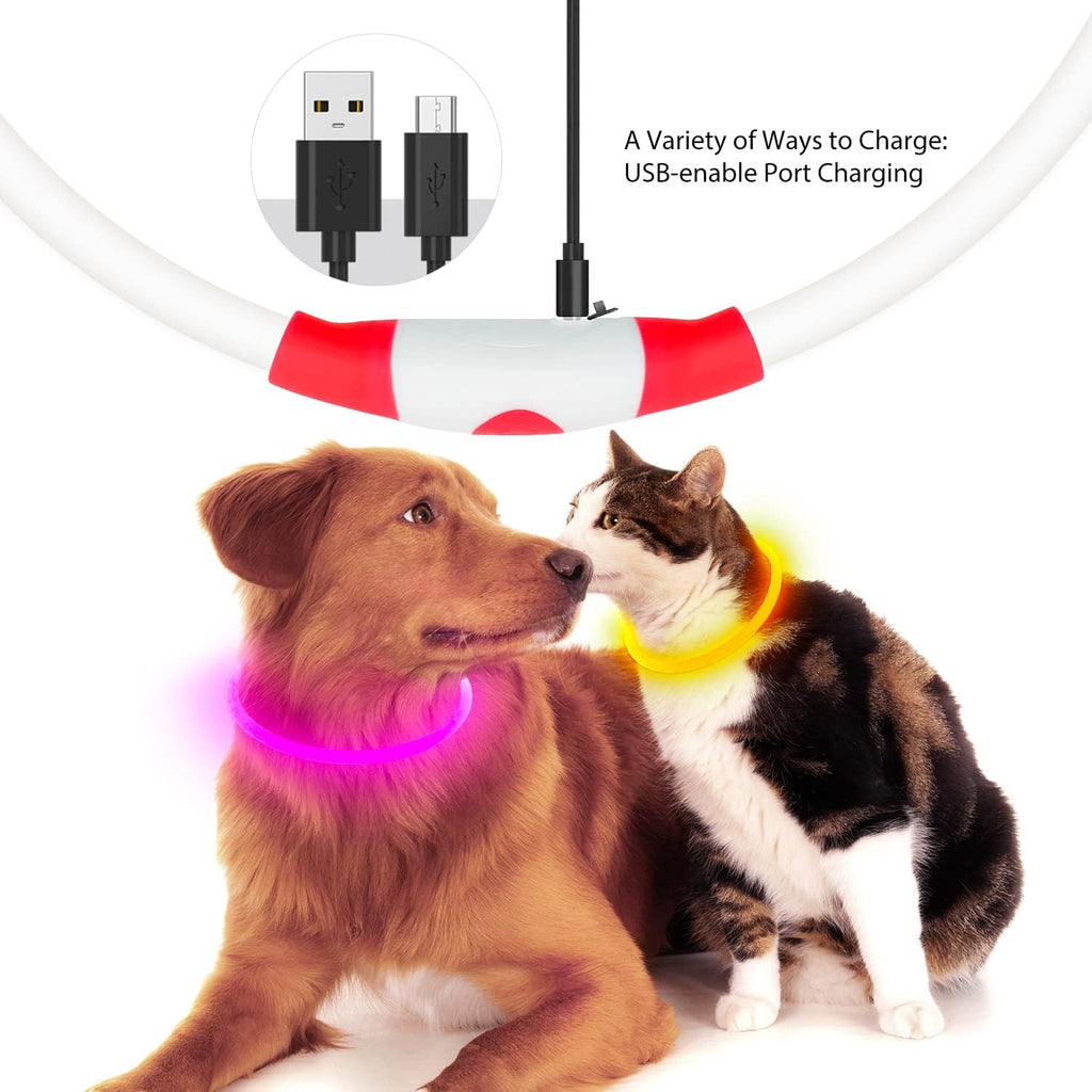 NightGlow Dog Collar – Easy Visibility for Every Walk