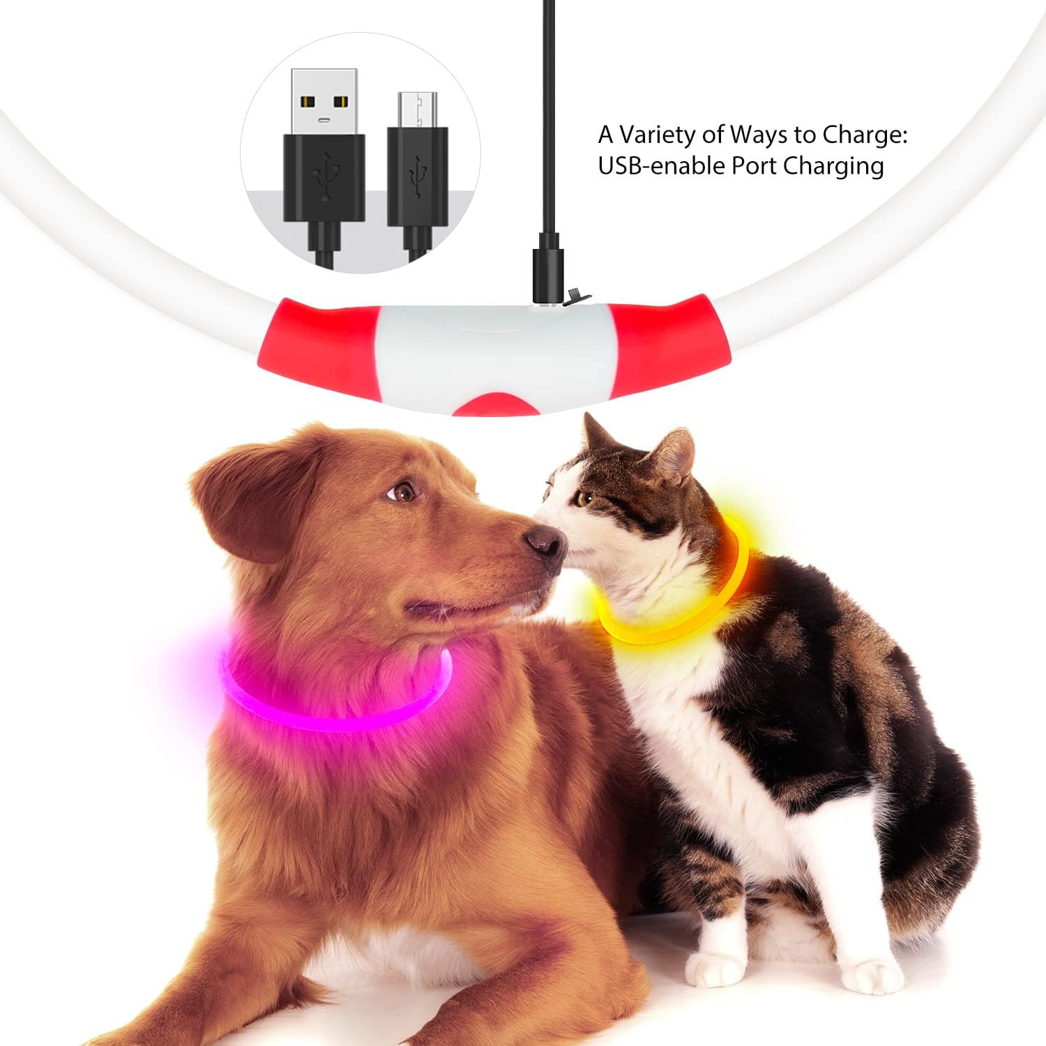 NightGlow Dog Collar – Easy Visibility for Every Walk