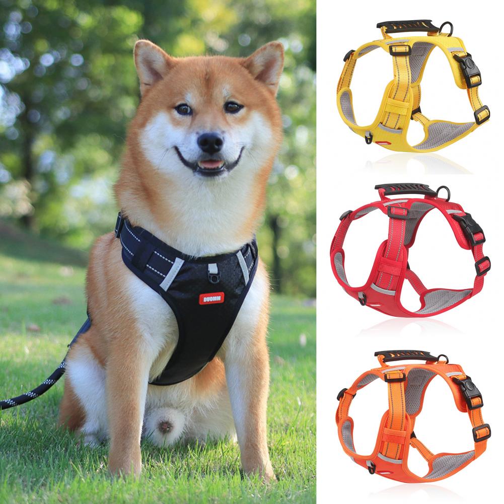 Easy Walk Harness – No Pull, More Control, Less Stress