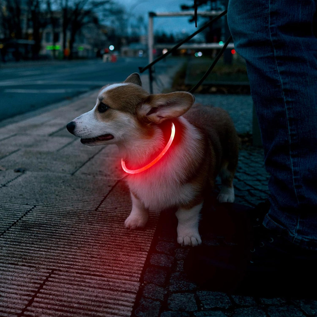 NightGlow Dog Collar – Easy Visibility for Every Walk