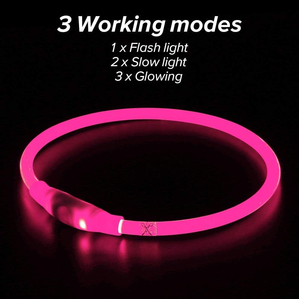 NightGlow Dog Collar – Easy Visibility for Every Walk