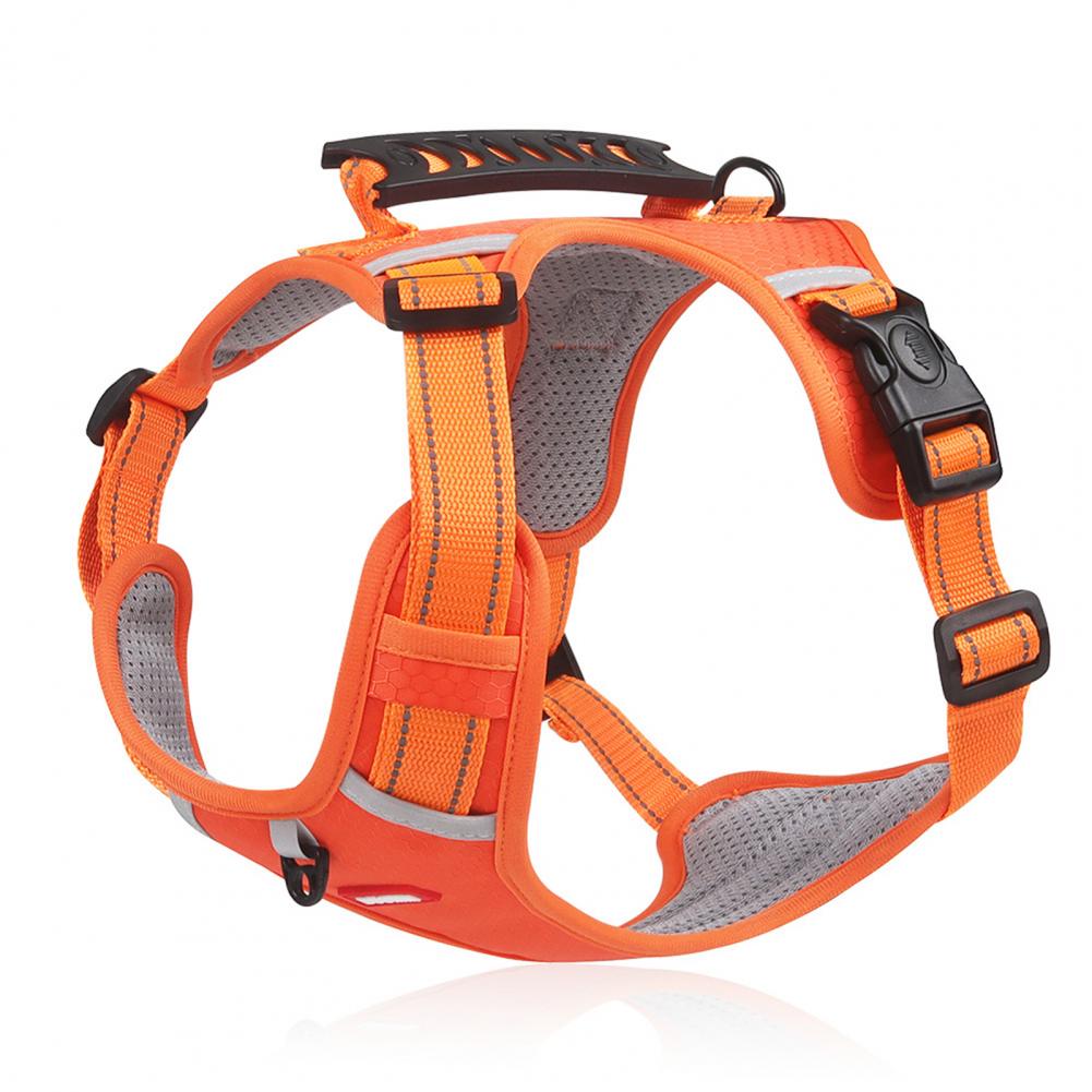 Easy Walk Harness – No Pull, More Control, Less Stress