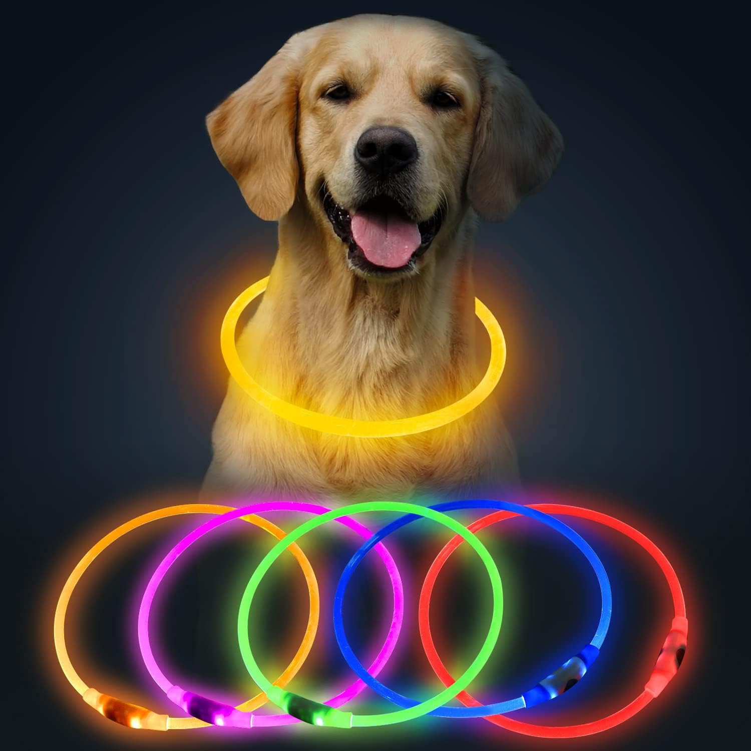 NightGlow Dog Collar – Easy Visibility for Every Walk
