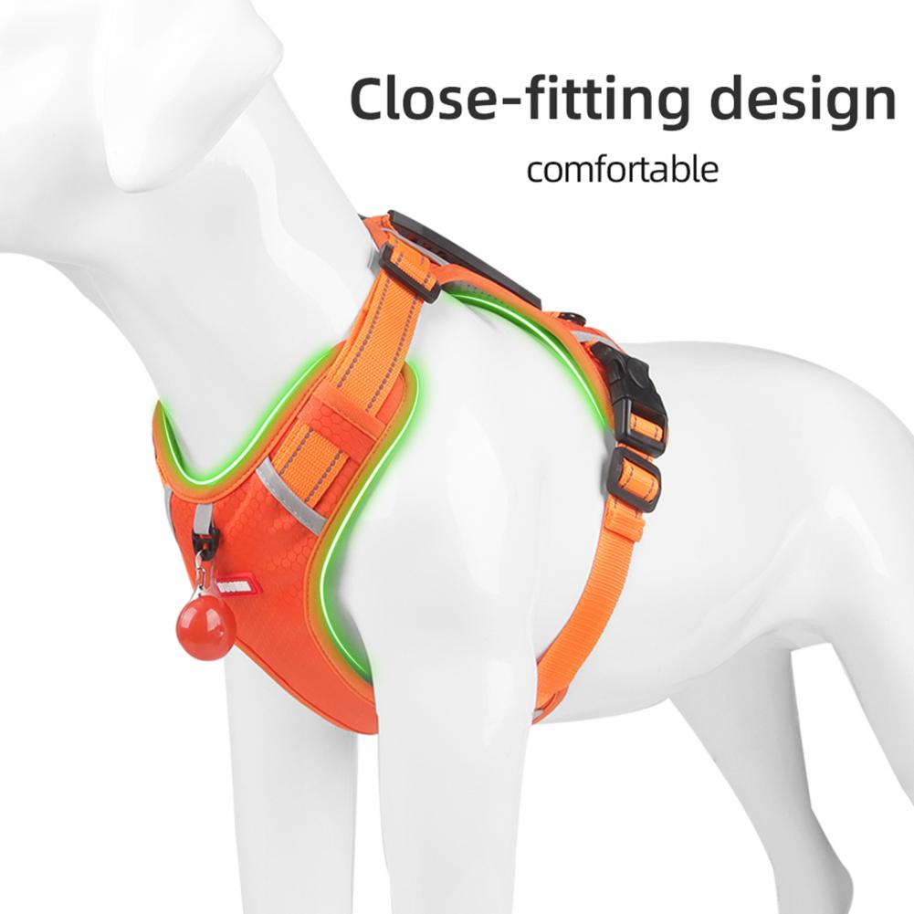 Easy Walk Harness – No Pull, More Control, Less Stress