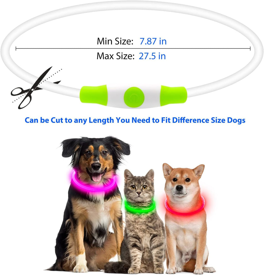 NightGlow Dog Collar – Easy Visibility for Every Walk