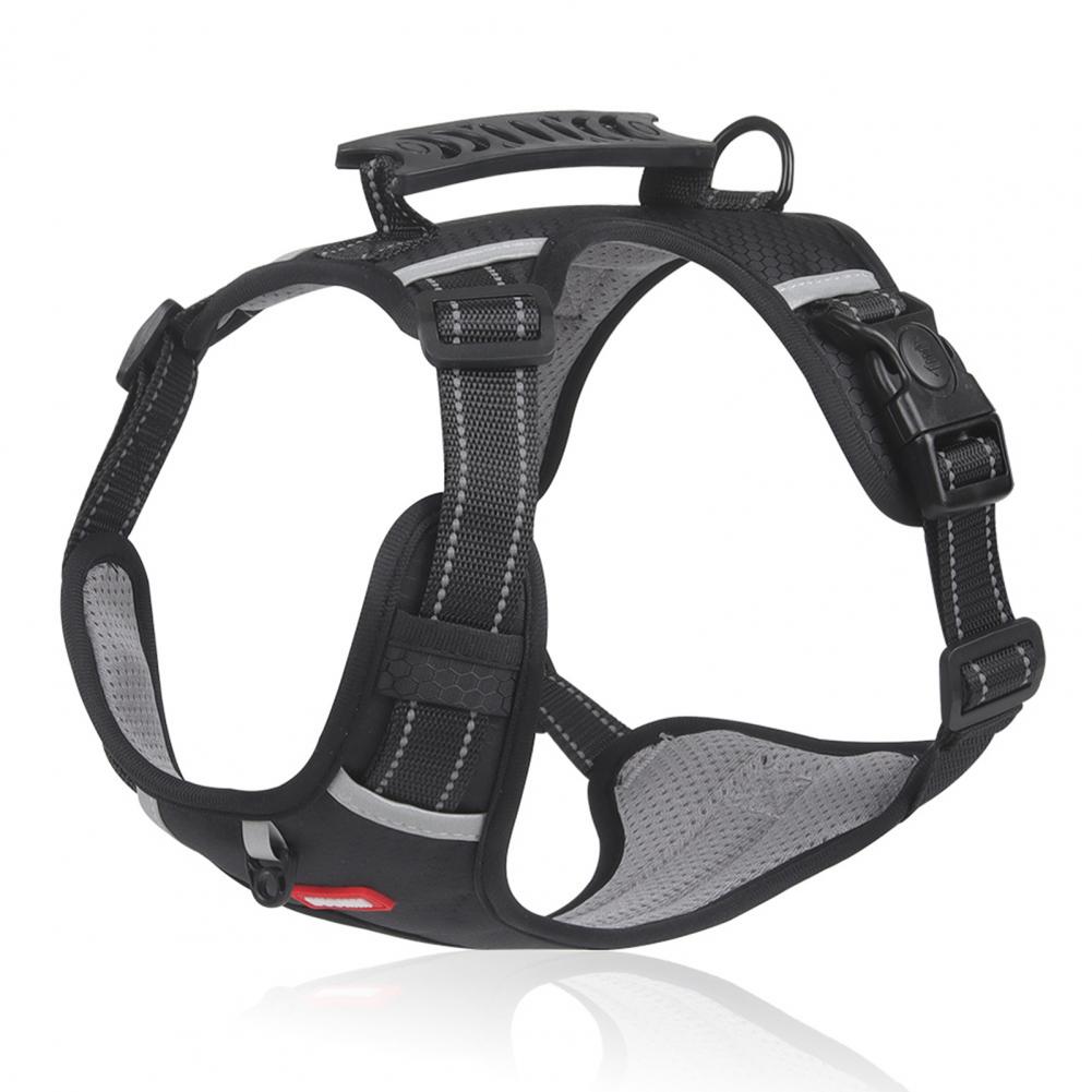 Easy Walk Harness – No Pull, More Control, Less Stress